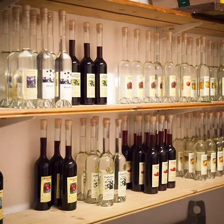 Weinbau Pronegg Vlg. Krainz